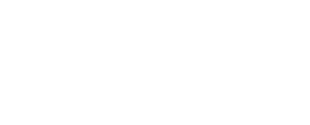 HoldenAvto