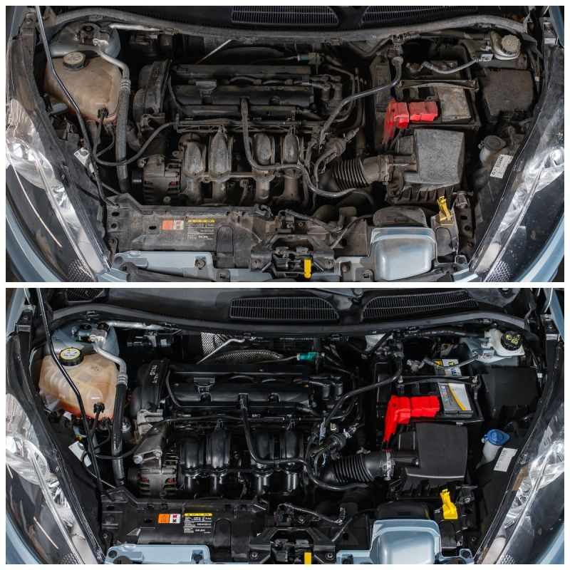 Очищувач двигуна Akra Perfect каністра 5 л EK1751