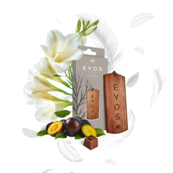 Ароматизатор для салону авто Evos Grace Angel янгол 4 г сухий